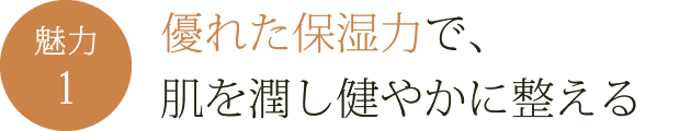 優れた保湿力で、肌を潤し健やかに整える